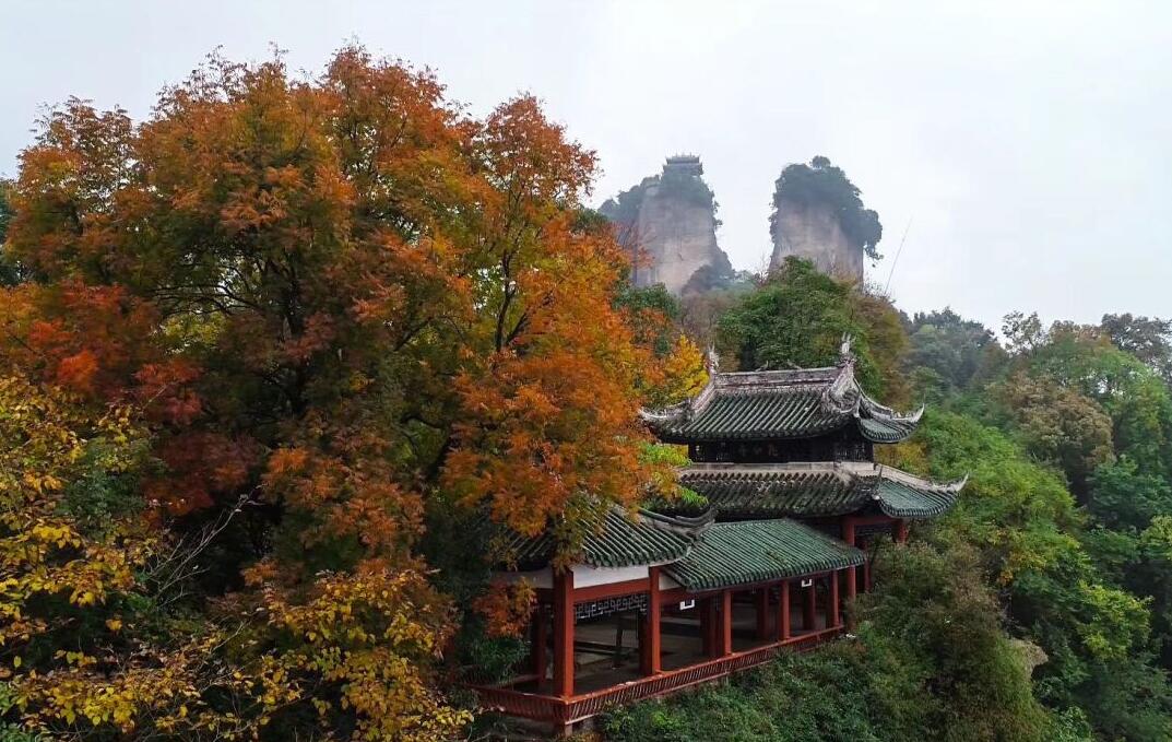 @所有女士，陽春三月竇圌山景區(qū)邀您免費來踏春賞花！