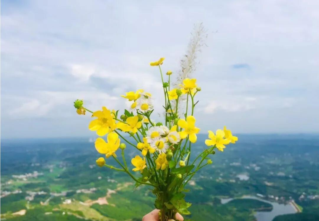 等春來，我們好好擁抱！致敬最美